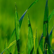 例えば相続で親の土地をもらうことになったら。
